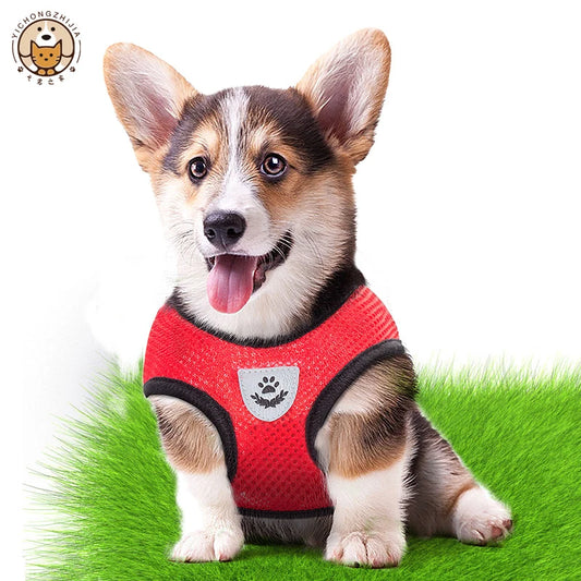 Adjustable Pet Harness Set