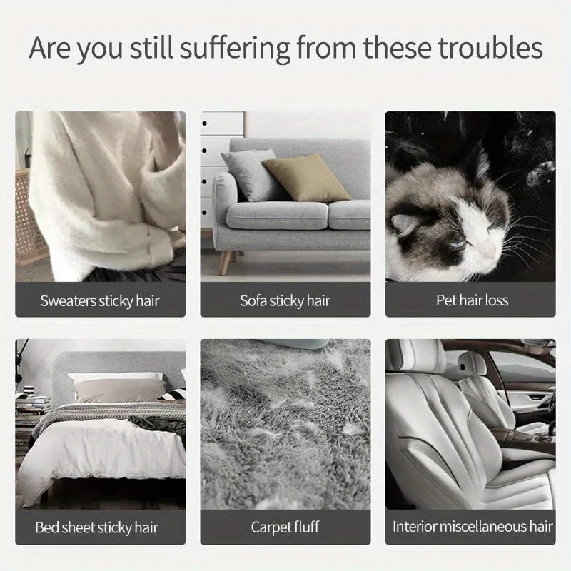 Double-Sided Pet Hair Remover