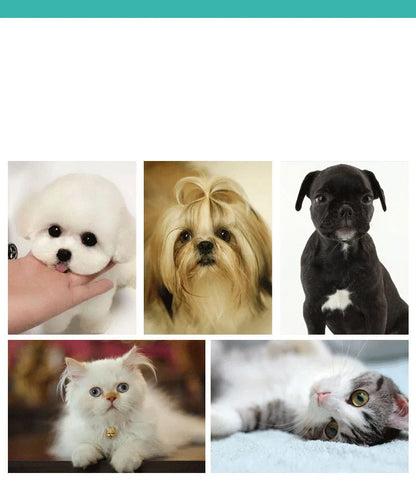 Gentle Pet Bath Brush